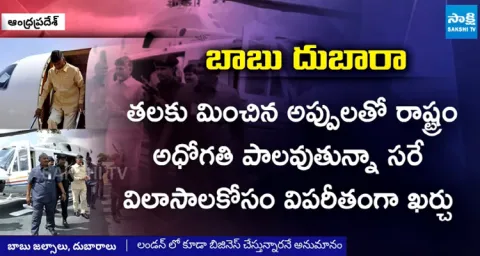 Is Chandrababu Doing any Business In London  1