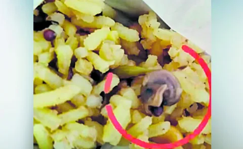 Snail in the Pulihora Prasadam