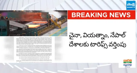 India Govt Imposes Tariff on Steel Imports from China 1