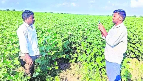 వ్యవసాయ ఉద్యోగులకూ వెన్నుపోటు 