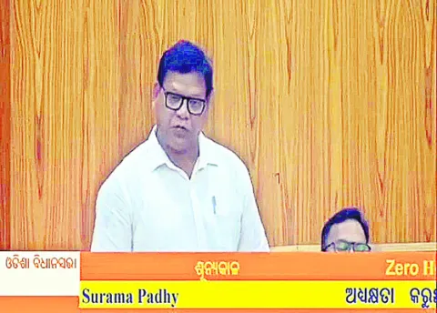 యువతకు ఉపాధి అవకాశాలు కల్పించండి