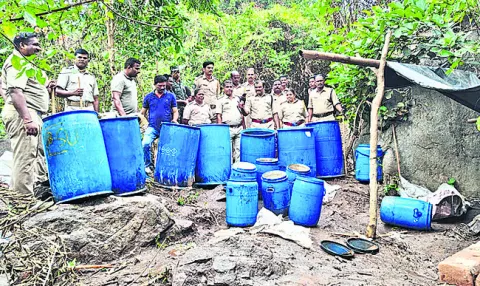 ఏఓబీలో 6,050 లీటర్ల ఊట ధ్వంసం