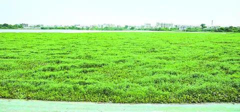 మురుగుకు స్వస్తి.. శుద్ధీకరణకు కుస్తీ