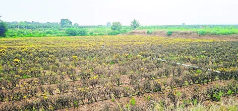 సమస్యలు పరిష్కారం కావడం లేదు : మంత్రి కేశవ్‌