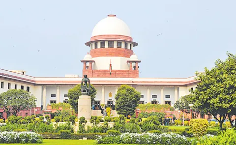 Lady Lawyer Creates Ruckus In Supreme Court