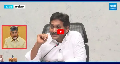 YS Jagan Satires On Chandrababu Over TDP Fake Cases 1