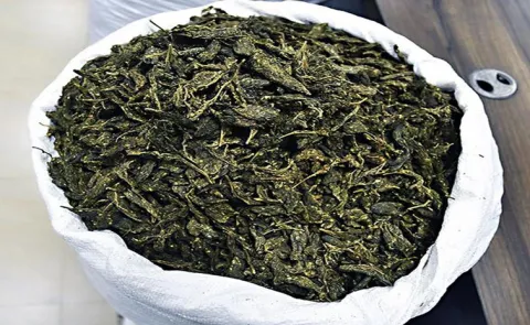 Bengaluru police seize Rs 28. 75 crore worth of MDMA and hydro ganja