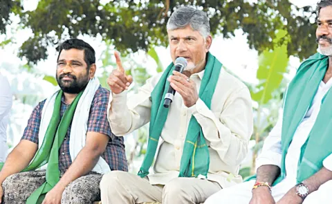 Chandrababu Naidu advises farmers to cultivate horticultural crops