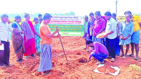 ఆరోగ్యకరమైన నేలలే భవిష్యత్తుకు పునాది