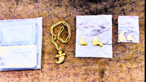 చిరుత పులిని చంపి.. పులిగోర్లను విక్రయించి.. 