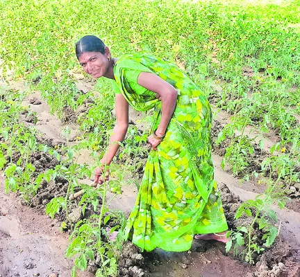 నాడు సర్పంచ్‌.. నేడు పొలం పని 