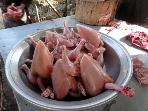 ఎన్నికల వేళ.. పెరిగిన చికెన్‌ ధర