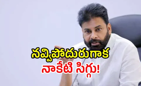 true or false AP Deputy Chief Minister Pawan Kalyan evil eye remarks