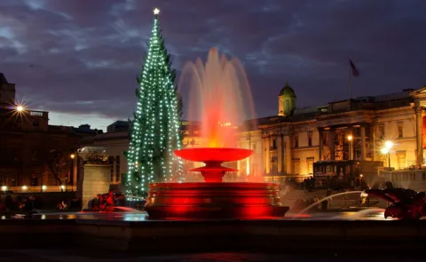 Norway donates a Christmas tree to London every year13