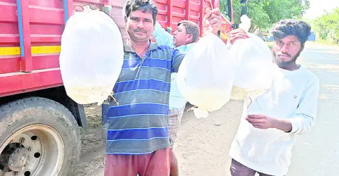 చేపా.. చేపా.. లక్ష్యం చేరలేదు..!