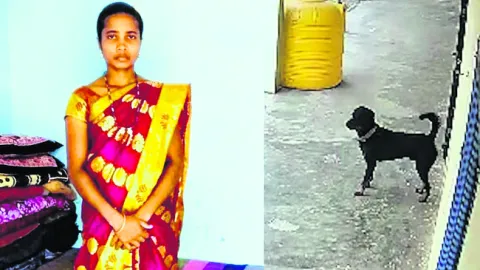 కుక్క కాటుకు యువతి బలి 