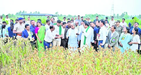 వ్యవసాయంపై రైతుల నిరాసక్తి 