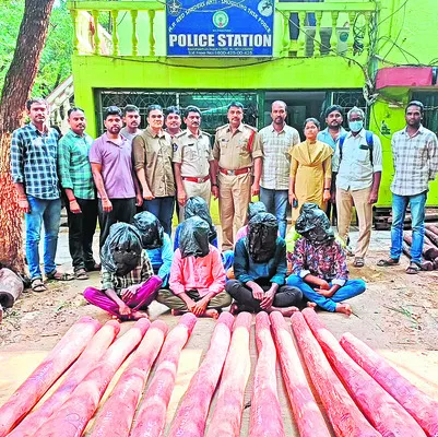 12 ఎర్రచందనం దుంగలు స్వాధీనం 