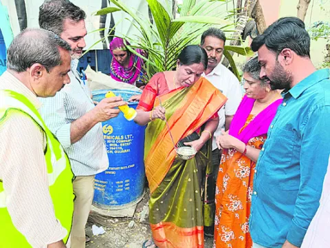 స్క్రబ్‌ టైఫస్‌కు భయపడాల్సిన అవసరం లేదు 