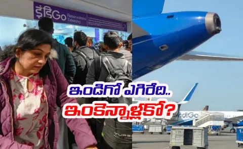 IndiGo Crisis: When normalcy replaced chaos in aviation12