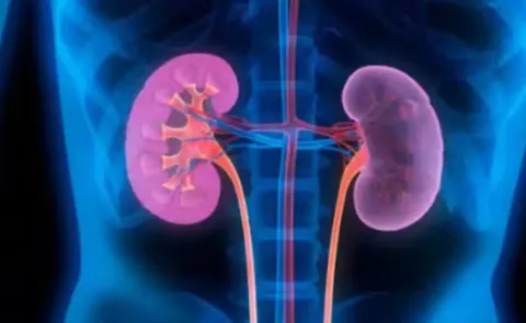 Kidney transplant success at ainu donated by his uncle