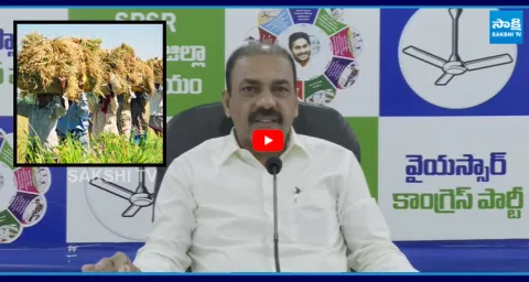 Kakani Govardhan Reddy Fire On Chandrababu Over AP Farmars Problems 4