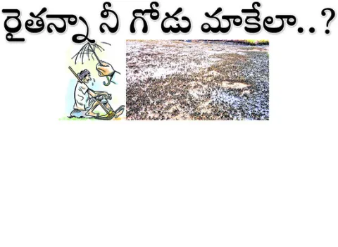 నాడు.. రైతే.. రారాజు 
