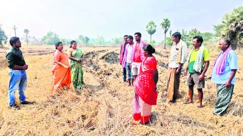 రైతులు పంట వ్యర్థాలను కాల్చొద్దు