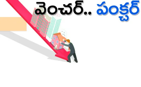 జిల్ల