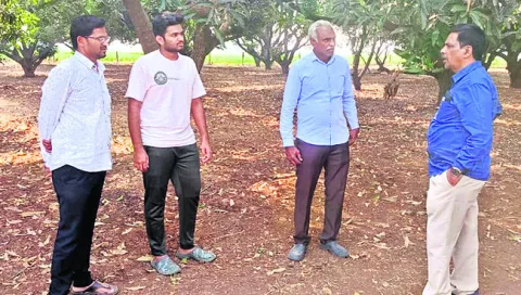 సస్యరక్షణ చర్యలతో అధిక దిగుబడి