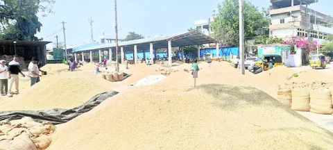 ఆర్‌ఎన్‌ఆర్‌ క్వింటా రూ.2,739 