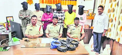 గంజాయి కేసులో ఆరుగురు అరెస్ట్‌ 