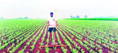 రూ. 10 వేల వేతనం.. పక్కా మోసం