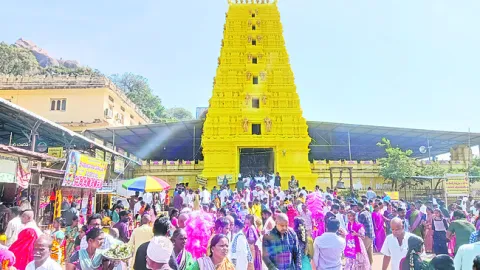 మల్లన్నా.. పల్లకీ సేవ ఏమాయె!