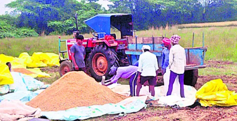 ధాన్యం దళారుల పాలు..! 