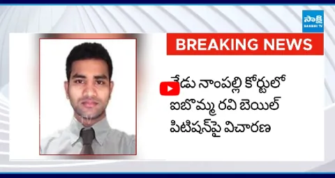 Ibomma Immadi Ravi Bail Petition  1