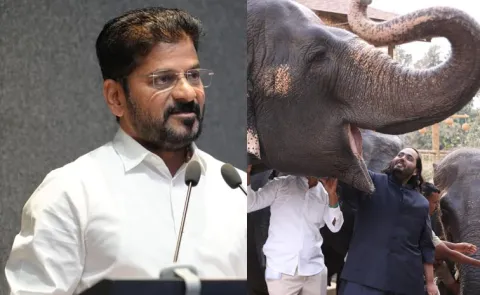 Telangana Future City Vantara MOU CM Revanth Reddy News