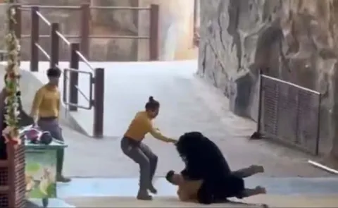 Bear Wrestles Beats Up Zookeeper In China Goes viral