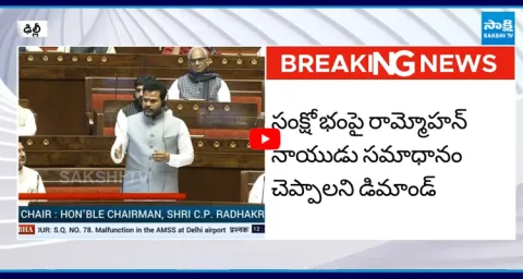 Civil Aviation Minister Rammohan Naidu Speech In Rajya Sabha About IndiGo Crisis 2