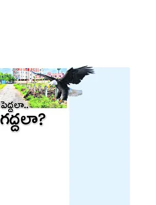 సోమవా