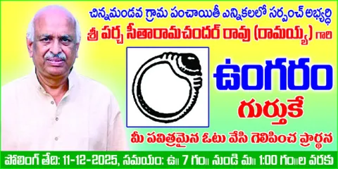 గొర్రెల చోరీకి యత్నం
