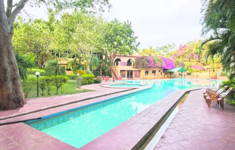 అడవుల్లో రిసార్టులు, సఫారీలను మూసేయాలి 