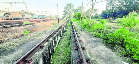 పిట్‌లైన్‌పై పట్టింపేది ?