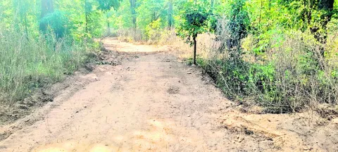 మహాజాతరకు  అడవిమార్గంలో రోడ్డు 
