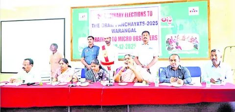 11, 14, 17 తేదీల్లో స్థానిక సెలవు