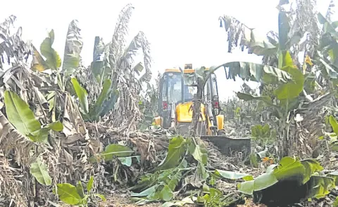 Banana farmers Facing Problems at Anantapur Dist