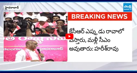 Harish Rao Slams CM Revanth Reddy over Telangana Talli Statue  1