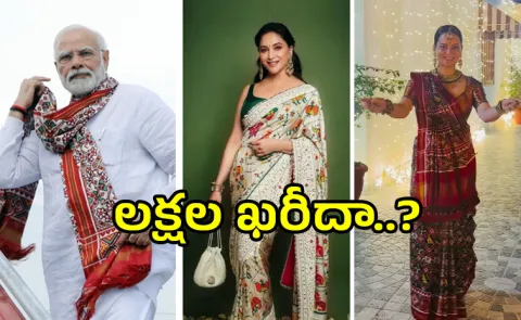 Gujarats 900-Year-Old Royal Patan Patola Saree