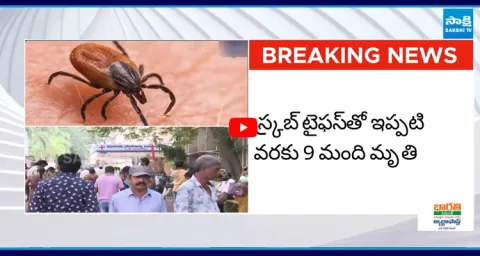 Scrub Typhus Outbreak in AP 1