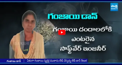 Software Ganja Lady Don Gade Renuka 1